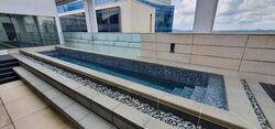 St. Regis Residences (D10), Apartment #460985411